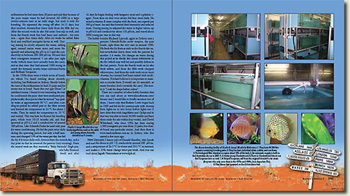 Bleher des Discus par Heiko Bleher, publié chez Aquapress Bleher des Discus par Heiko Bleher, publié chez Aquapress
