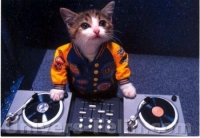 chat_dj_light chat_dj_light